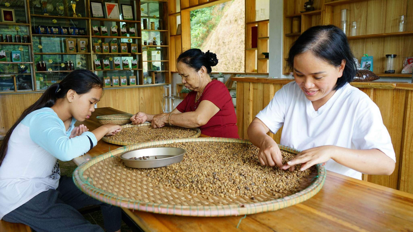 Chế biến cà phê ở xưởng Pun coffee - Ảnh: T.H